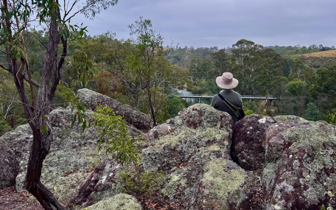 Forest therapy, nature retreats and ancestral crafts