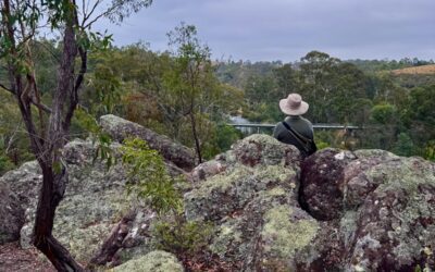 Forest therapy, nature retreats and ancestral crafts