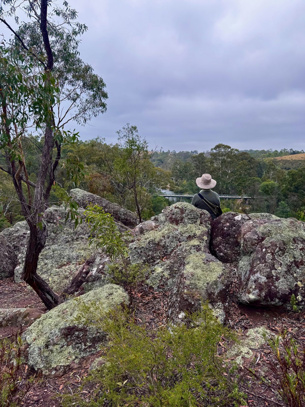 Forest therapy, nature retreats and ancestral crafts